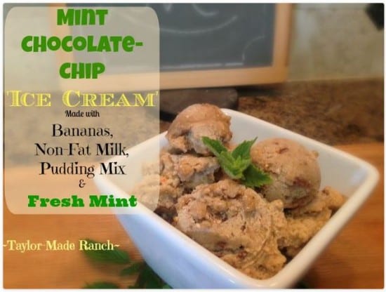 Featuerd on the Homestead Blog Hop - Mint Chocolate Chip Ice Cream
from taylor made ranch