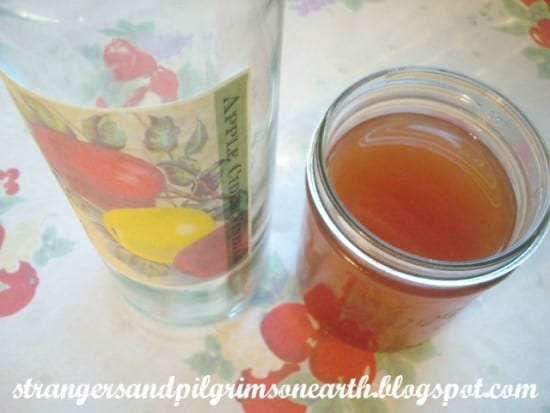 Homeastead Blog Hop Feature - Save Your Scraps. Make Apple Cider from Strangers and Pilgrims on Earth