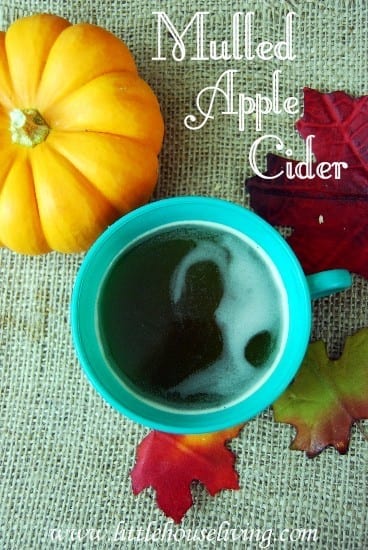 Featured on the Homestead Blog Hop - Mulled Apple Cider