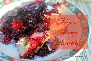 Featured on the Homestead Blog Hop - Triple Berry Cobbler from Medium Sized Family