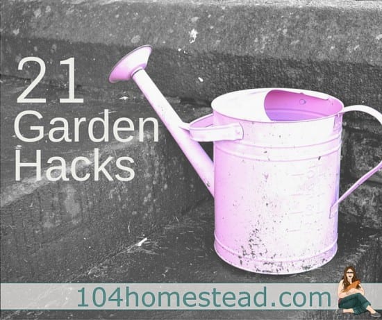Featured on the Homestead Blog Hop - 21 garden-hacks