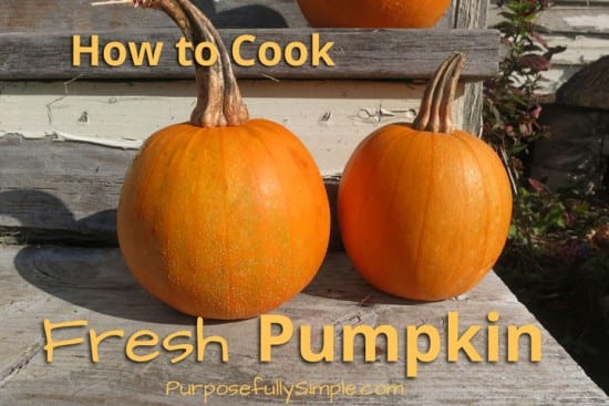 Featured on the Homestead Blog Hop - How-to-Cook-Fresh-Pumpkin