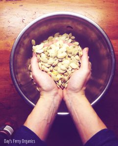 Featured on the Homestead Blog Hop - Pumpkin Seeds with Spice