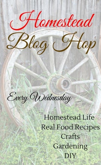 Homestead Blog Hop every Wednesday. Share your posts on gardening, DIYs, real food recipes, natural living and health at SimpleLifeMom.com