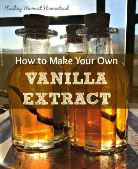 Homestead Blog Hop Feature - Vanilla Extract