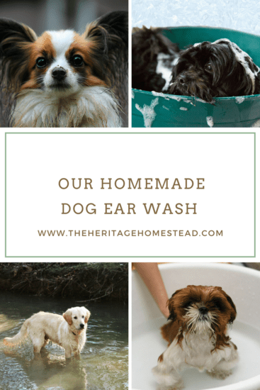 Homeastead Blog Hop Feature - our-homemade-dog-ear-wash
