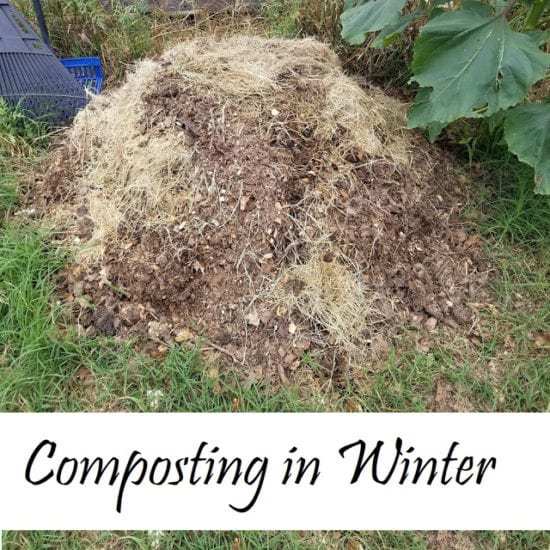 Homestead Blog Hop Feature - composting.winter