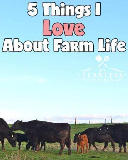 Homestead Blog Hop Feature - 5 Things I love about Farm Life