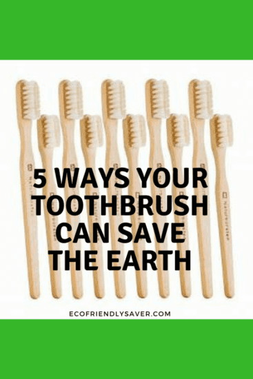 Homestead Blog Hop Feature - 5-Ways-Toothbrush-Save-the-Earth