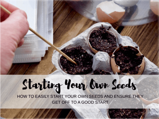 Homestead Blog Hop Feature - Starting Your Own Seeds