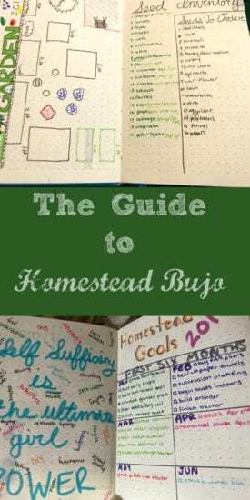 Homestead Blog Hop Feature - homestead-bujo-guide