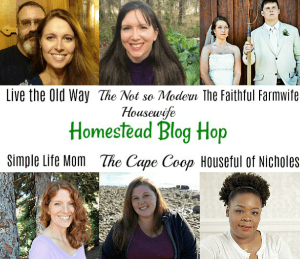 Blog Hop Hosts April 2018 - Simple Life Mom