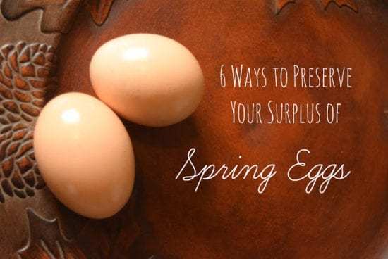 Homestead Blog Hop Feature - 6 Ways to Preserve a Surplus of Spring Eggs