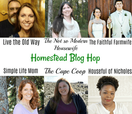 Homestead Blog Hop Hosts March 2018