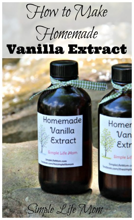 How To Make Homemade Vanilla Extract (With Labels) • Salted Mint