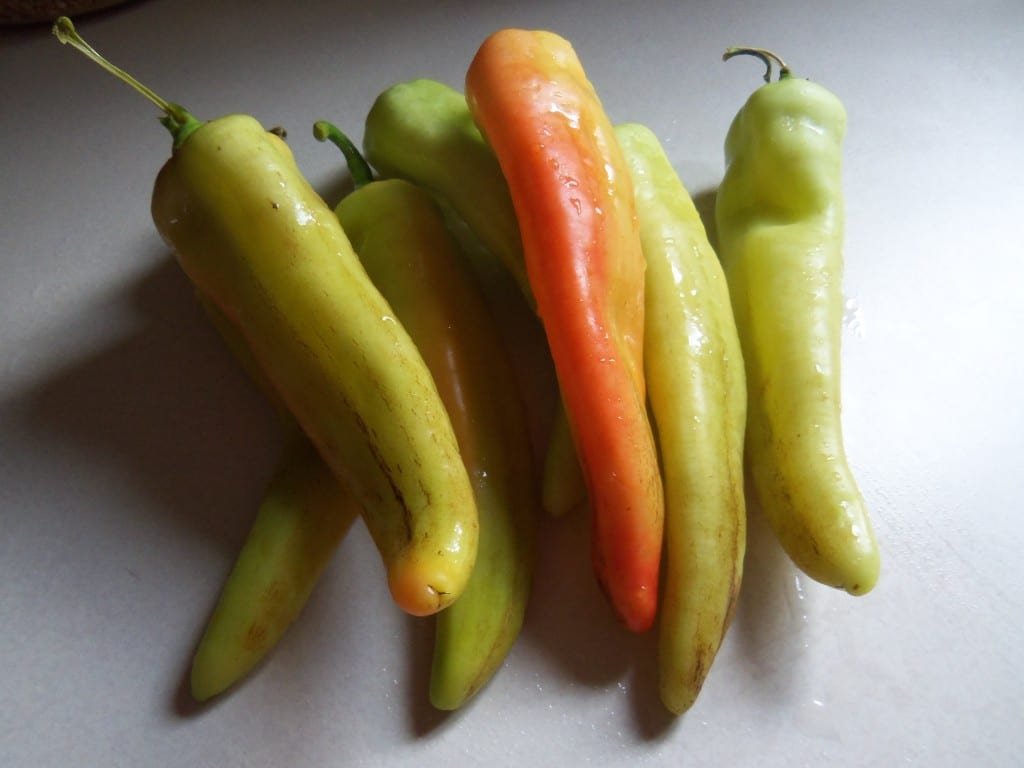 The Best Stuffed Peppers Recipe with homemade marinara recipe (optional) from Simple Life Mom.