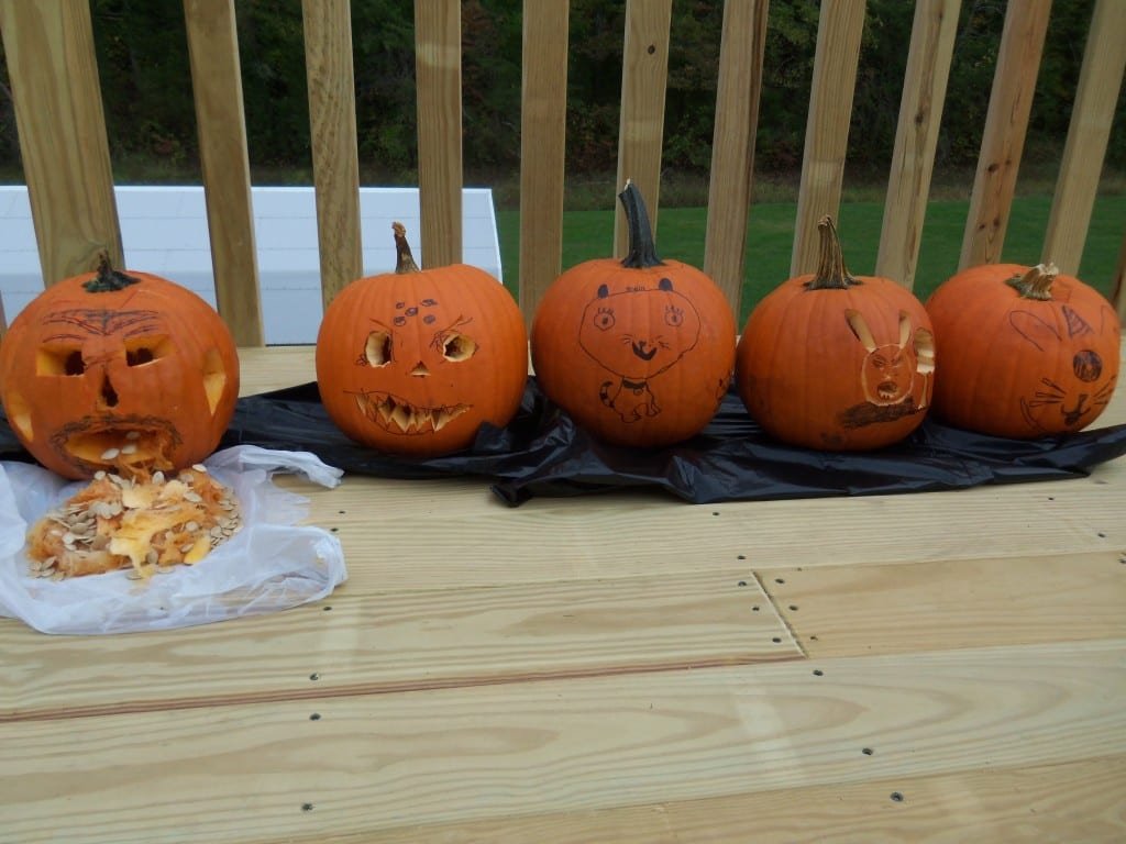 Learn how to spice roasted pumpkin seeds. Make them sweet or salty. Pumpkin seeds are full of nourishment and make a healthy snack alternative.