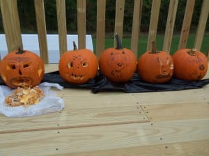 Roasted Pumpkin Seeds - First step have fun with pumpkins