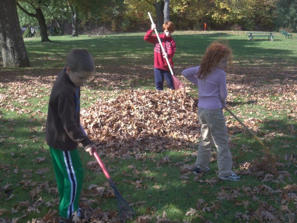 Tucking in Your Garden: Preparing Your Garden for Winter