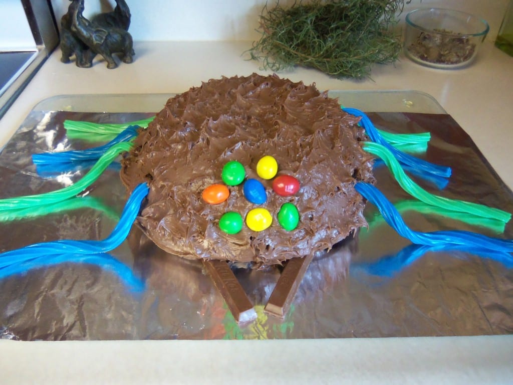 Chocolate Brownie Cake - Birthday Spider Style