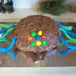 Chocolate Brownie Cake - Birthday Spider style