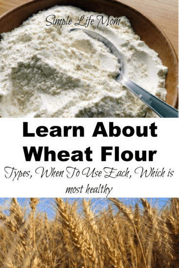 All About Wheat Flour - types, which to use when, and which flour is the healthiest