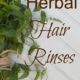 10 Herbal Organic Hair Rinses