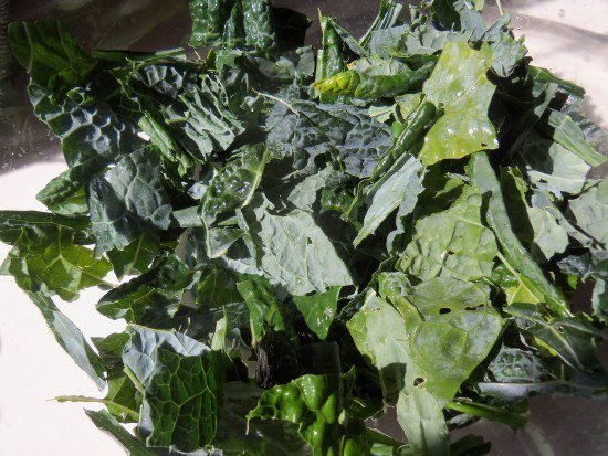 A Cajun Kale Chip Recipe - Simple Life Mom