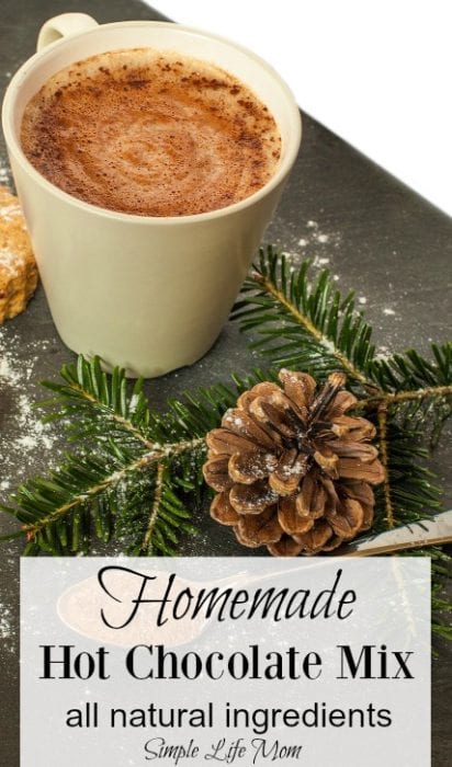 Homemade Hot Chocolate Mix - all natural ingredients from Simple Life Mom