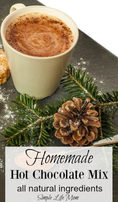 Homemade Hot Chocolate Mix - all natural ingredients from Simple Life Mom