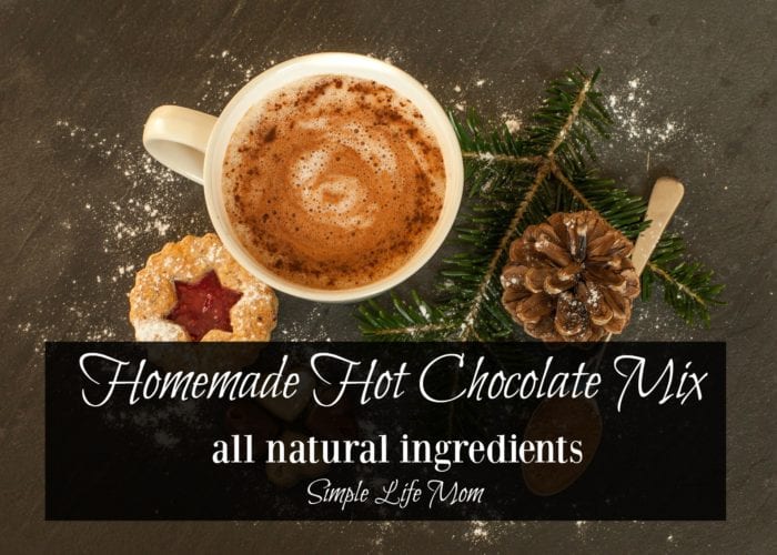 Homemade Hot Chocolate Mix - all natural ingredients from Simple Life Mom