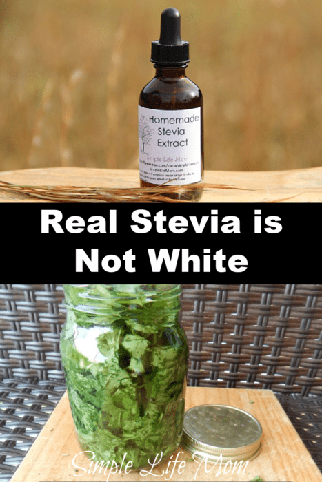 Real Stevia is not white. Learn where stevia comes from and how it's processed for the stores.