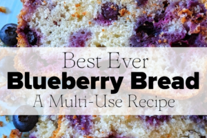Best Ever Blueberry Bread Recipe