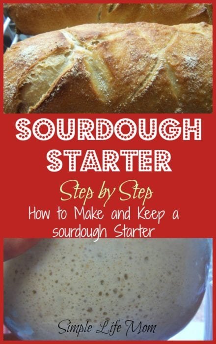 Simple Sourdough Starter Recipe