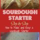 Easy Sourdough Starter Recipe