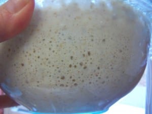 How to Make a Sourdough Starter and keep it fed by Simple Life Mom