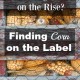 Corn on Food Labels