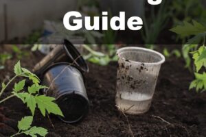 Seed Planning Guide for winter seed planting to get ready for the Spring Planting from Simple Life Mom