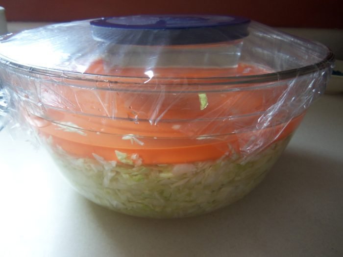 Homemade Sauerkraut Recipe