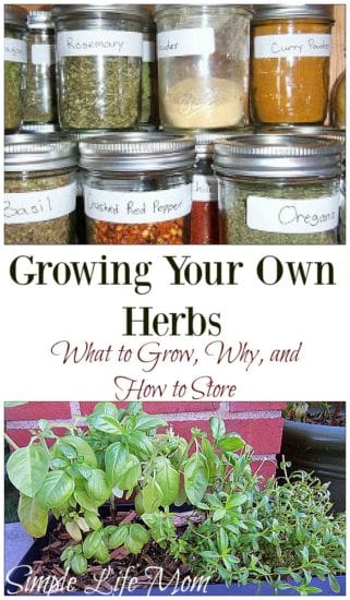 Growing Your Own Herbs from Simple Life Mom