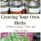 Growing your Own Herbs