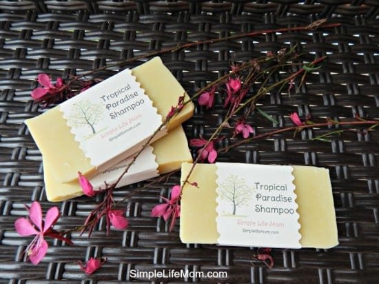 2014 Best Homemade Beauty Recipes - Tropic Paradise Shampoo Bars by Simple Life Mom