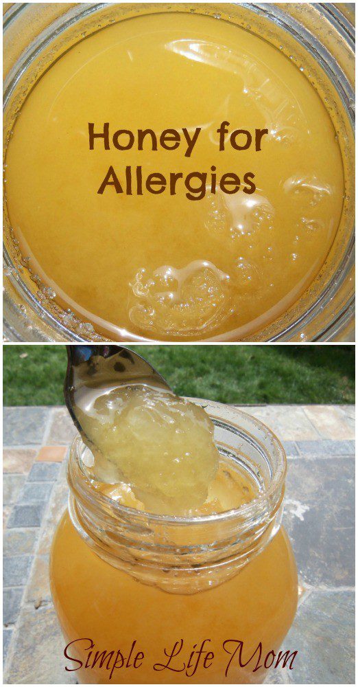Using Honey for Allergies from Simple Life Mom