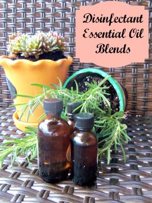 Disinfectant Essential Oil Blends