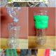 How to Make a Gnat Bug Trap