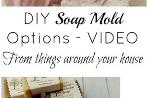 DIY Soap Mold Options from things around your house by Simple Life Mom