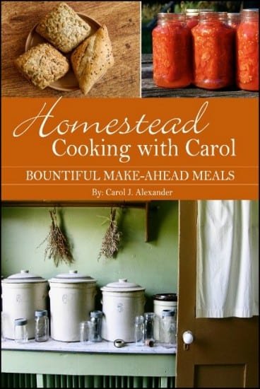 homestead cooking with carol cookbook giveaway - great ideas, meal planning, and down home recipes