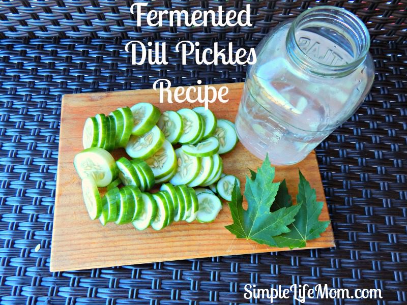 Healthy Fermented Dill Pickles Recipe