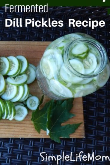 Fermented Dill Pickles Recipe