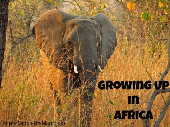 Growing Up in Africa - my wonderful childhood and its effect on my natural living lifestyle